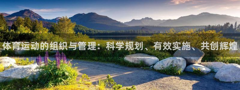 米兰体育官网下载平台假的吗是真的吗：体育运动的组织与管理：科