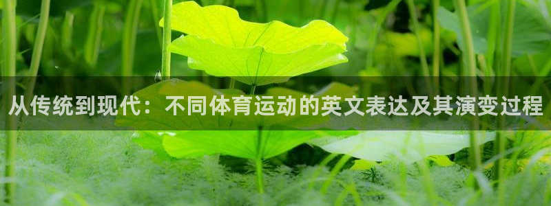 米兰体育官网下载是干嘛的公司：从传统到现代：不同体育运动的英