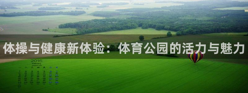 米兰体育官方正版app集团E.ON：体操与健康新体验