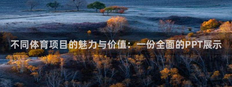米兰体育官方正版app娱乐下载：不同体育项目的魅力与