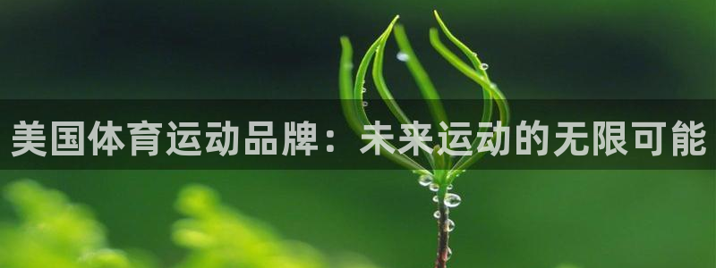 德国米兰体育官方正版app集团：美国体育运动品牌：未