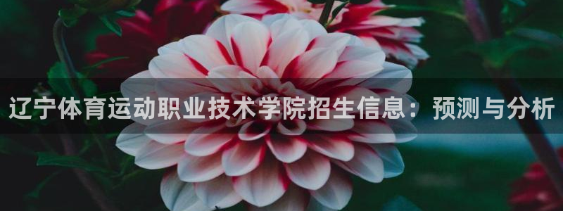 米兰体育官方正版app集团简介：辽宁体育运动职业技术学院招生