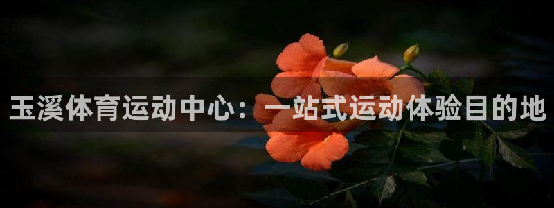 米兰体育官网下载平台注册要钱吗安全吗：玉溪体育运动中心：一站