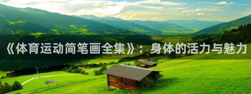 米兰体育官网下载平台：《体育运动简笔画全集》：身体的