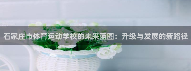 米兰体育官网下载招商电话：石家庄市体育运动学校的未来