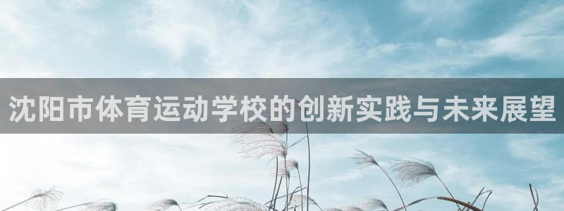 米兰体育官网下载平台注册要钱吗安全吗：沈阳市体育运动