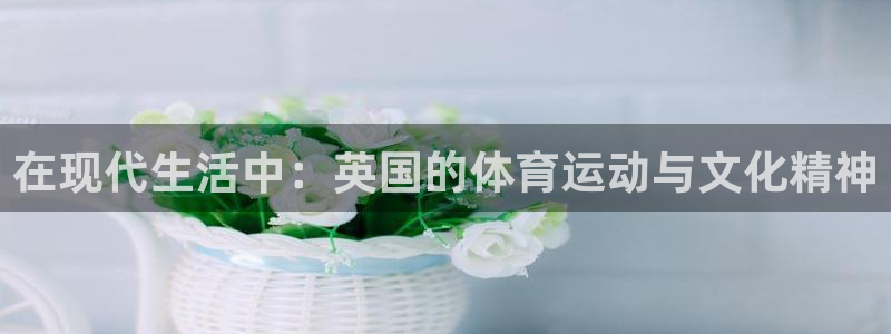 米兰体育官网下载招商：在现代生活中：英国的体育运动与