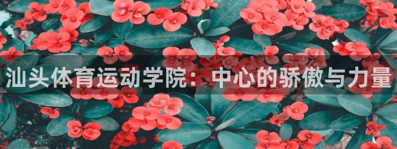 米兰体育官方正版app开户：汕头体育运动学院：中心的骄傲与力