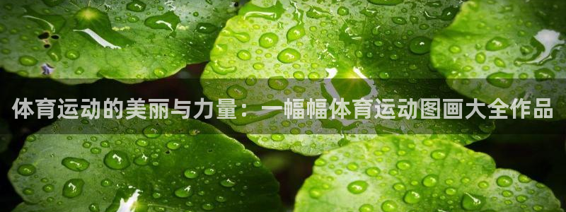 米兰体育官网下载平台假的吗是真的吗吗：体育运动的美丽与力量：