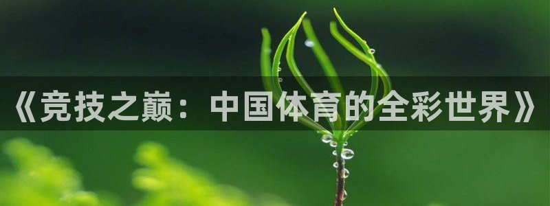 米兰体育官网下载平台是正规平台吗：《竞技之巅：中国体