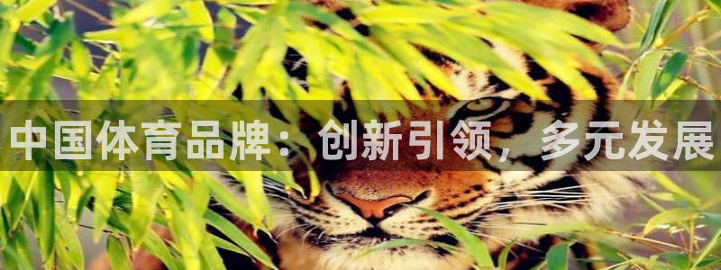 米兰体育官方正版app娱乐40996：中国体育品牌：创新引领