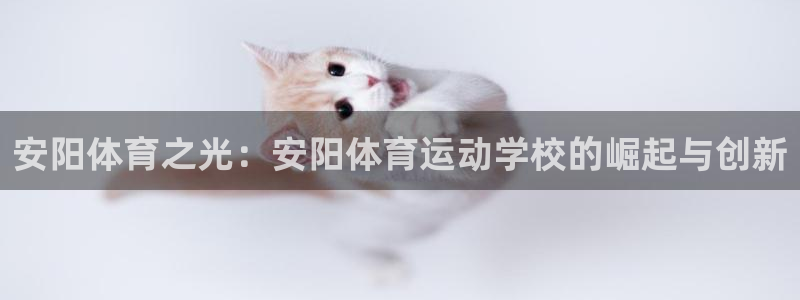 米兰体育官方正版app五金厂：安阳体育之光：安阳体育运动学校