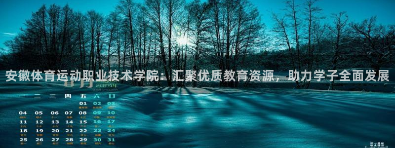 米兰体育官方正版app集团官网首页：安徽体育运动职业