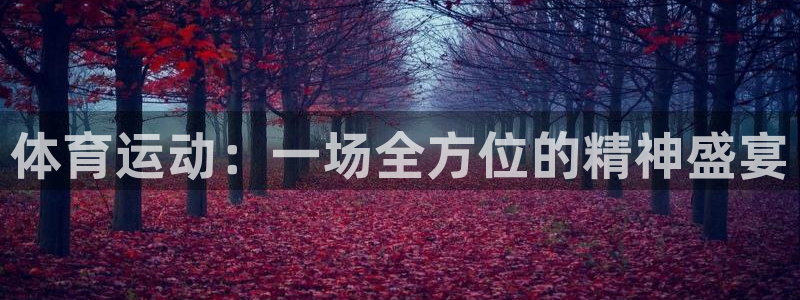 米兰体育官方正版app娱乐网站：体育运动：一场全方位的精神盛
